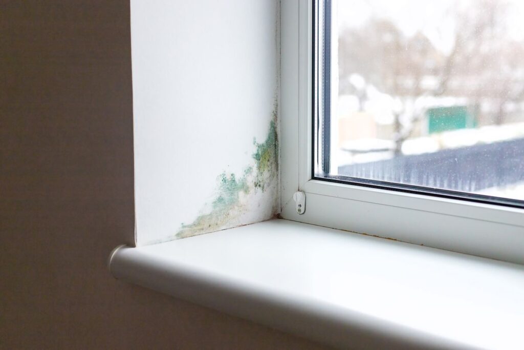 Feuchtigkeit und Schimmel am Fenster - dibetec kann helfen